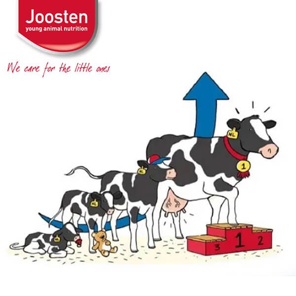 Joosten milk | Angela Alfa