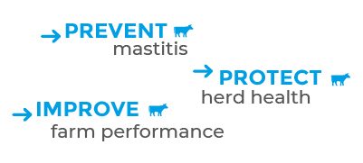 Milkline® MilproP4C Advantages | Angela Alfa